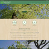 Top Tree Service  Designs Townsquare Interactive