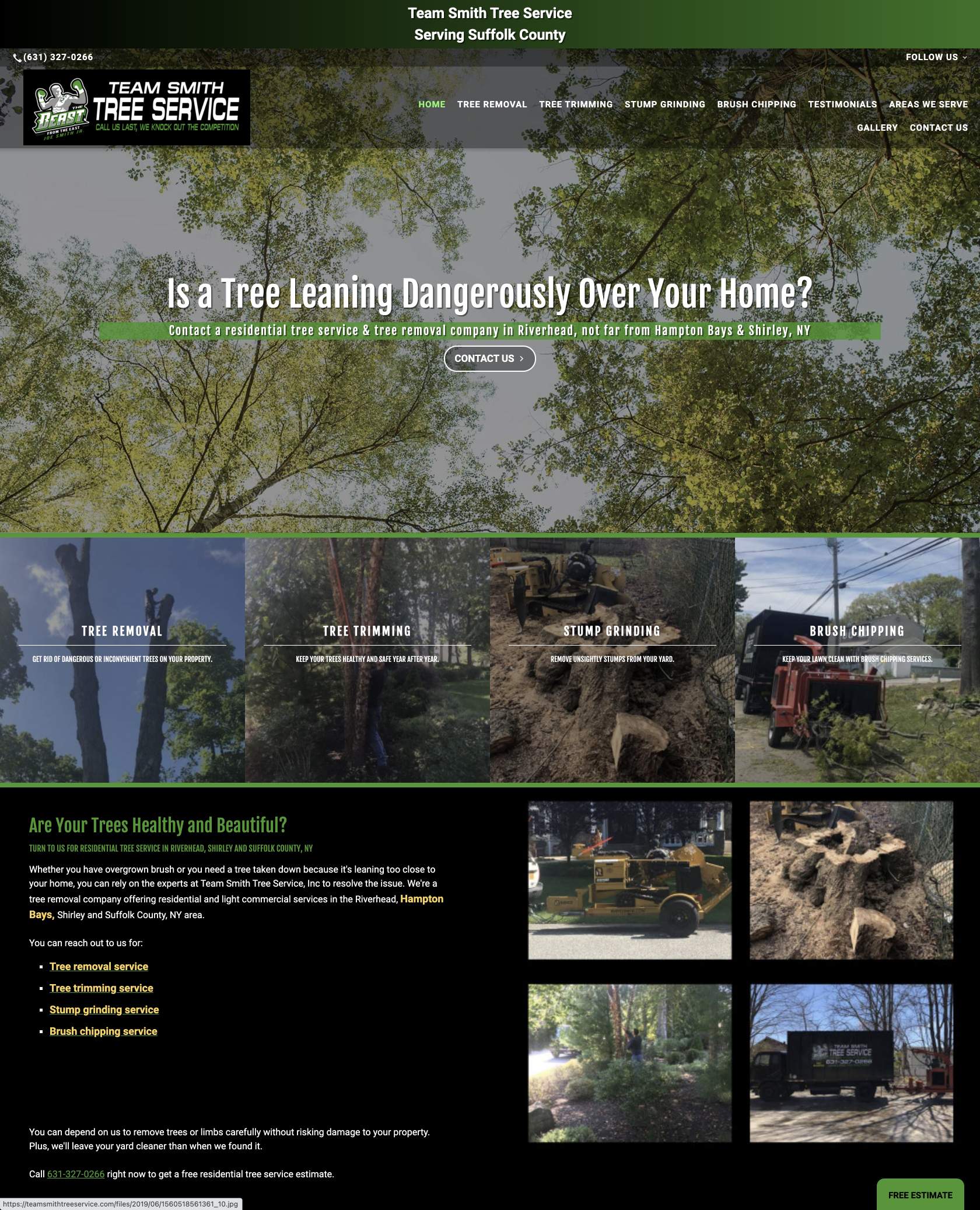 Top Tree Service Web Designs Townsquare Interactive