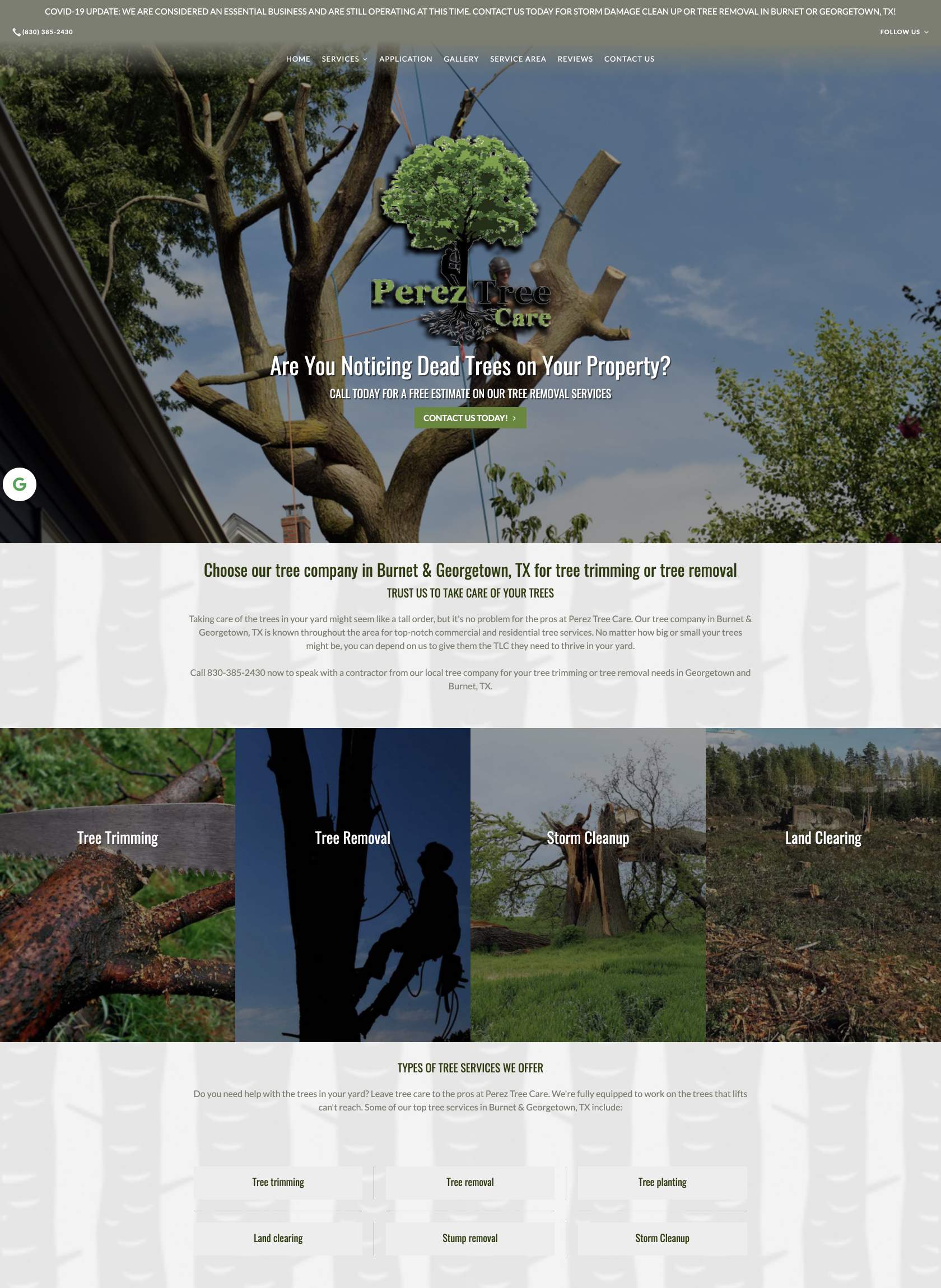 top-tree-service-web-designs-townsquare-interactive