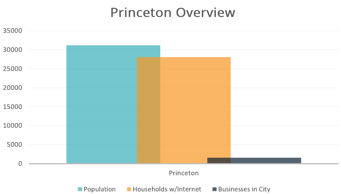 Princeton Overview