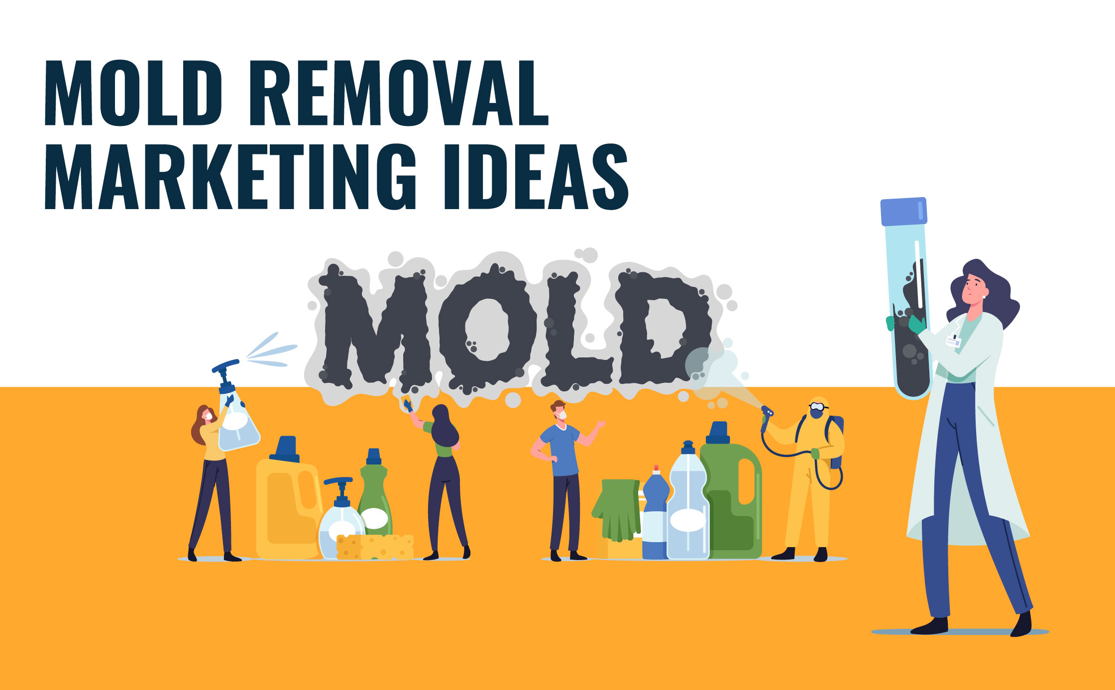 Mold Removal Marketing Ideas